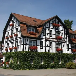 Sommer Lautertal (Bavaria)